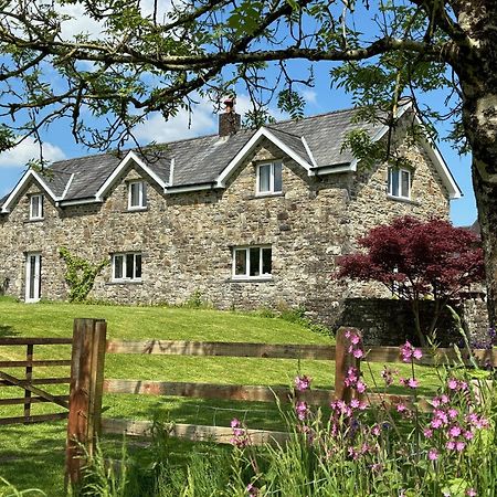 Maesyfelin Isaf B&B Llanybyther Exterior foto